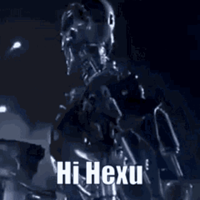 Hi Hexu Terminator GIF