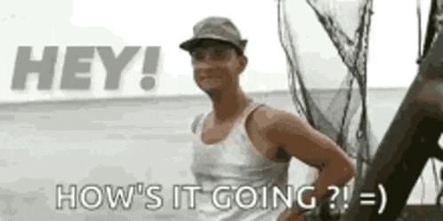 Hi Hey GIF