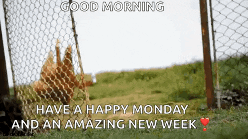 Hi Whats Up GIF