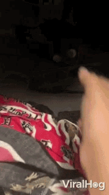 Hiding Viralhog GIF