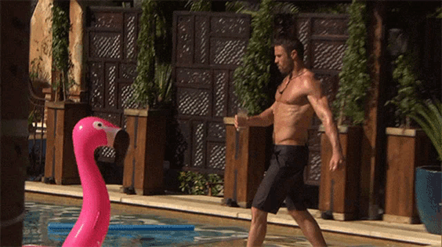 Hiro Gio Pro GIF