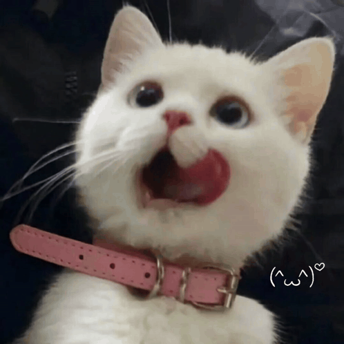 Hmm Hot GIF