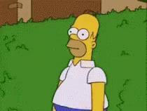 Hoer Simpson Scared GIF