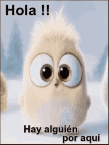 Hola GIF