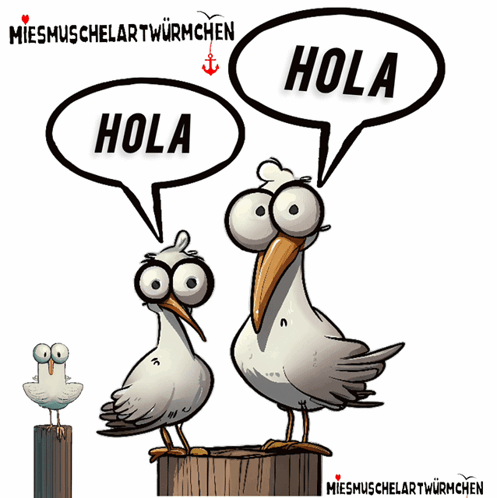 Hola Hi GIF