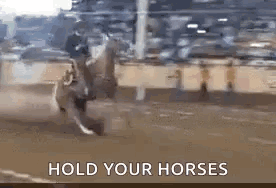 Hold Your Horses Slow Down GIF