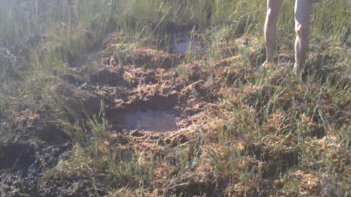 Hole Diving In GIF