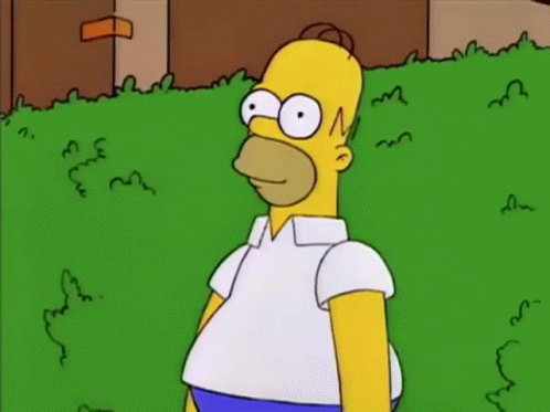 Homer Simpson Homer GIF