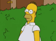Homer Simpson GIF