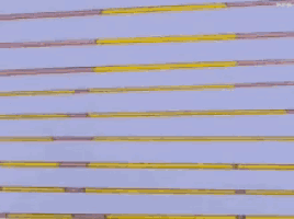 Homer Simpson The Simpsons GIF