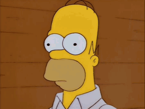Homer Simpson The Simpsons GIF