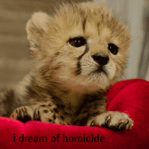 Homicide Dreams GIF