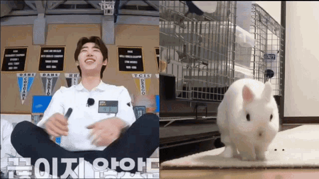 Hoon Coniglietto Sunghoon Coniglietto GIF