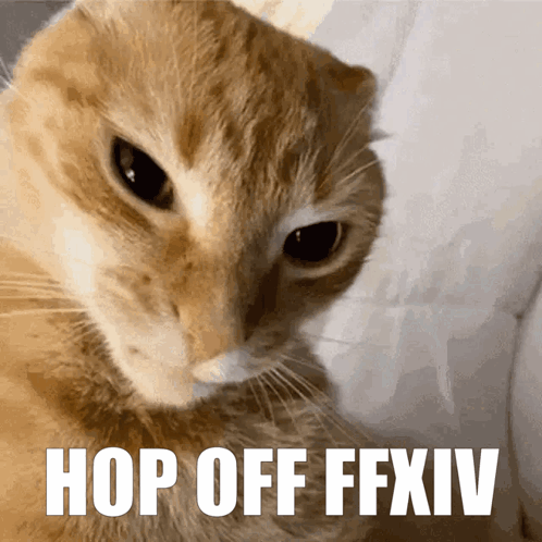 Hop Off Ffxiv Cat GIF