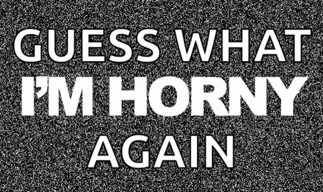 Horny Sex GIF