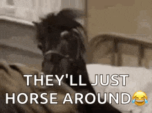 Horse Bed GIF
