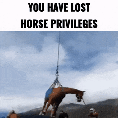 Horse GIF