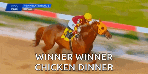 Horse Horses GIF