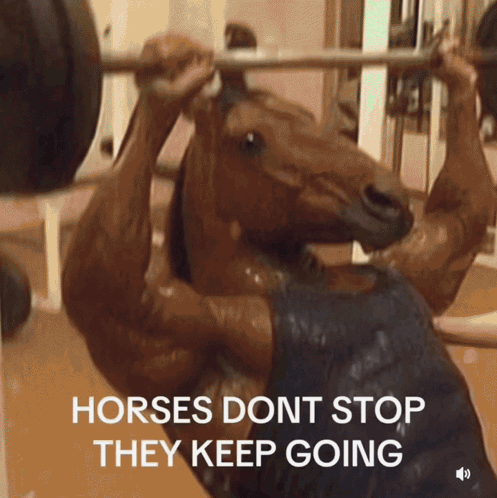 Horses Dont Stop Horses Don'T GIF