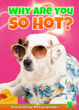 Hot Hot Stuff GIF