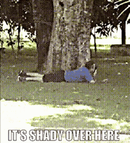 How Shady Throwing Shade GIF