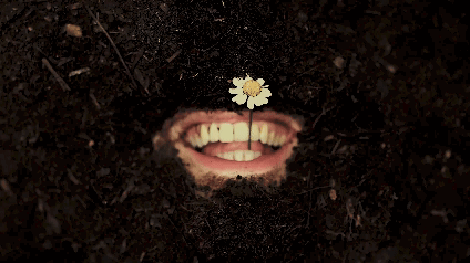 Hozier Unreal Unearth Mouth Daisy GIF
