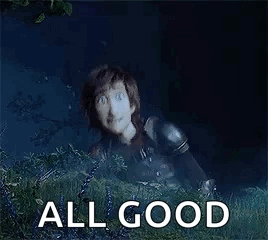 Httyd3 Hiccup GIF