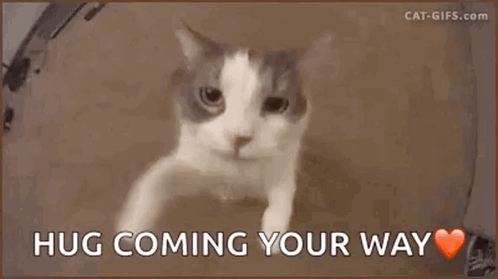 Hug Love GIF