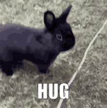 Hug Me Hug Me Now GIF
