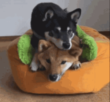 Hugs Snuggles GIF