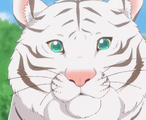 Huh Huh Cat GIF