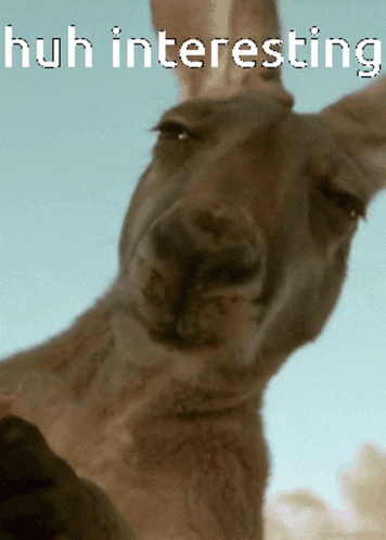 Huh Intereasting GIF