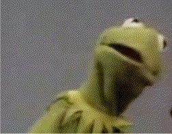 Huh Kermit The Frog GIF