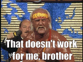 Hulk Hogan Hulk Hogan Brother GIF