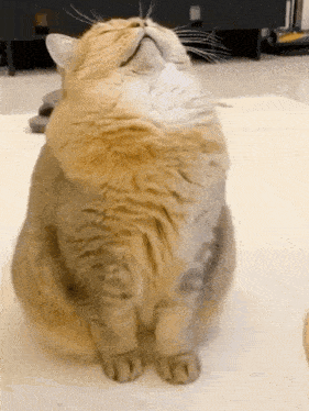 Humm Miam GIF