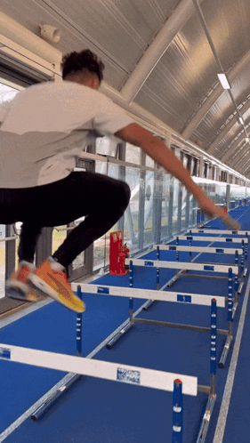 Hurdles Jumping GIF