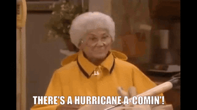 Hurricane Golden GIF