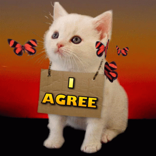 I Agree Agreed GIF
