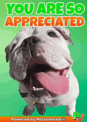 I Appreciate Appreciayed GIF