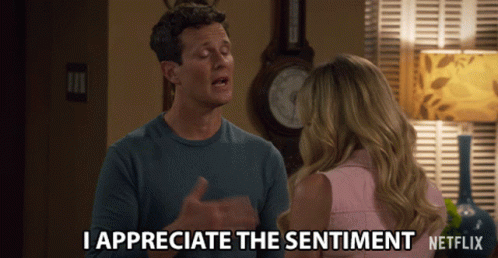 I Appreciate The Sentiment View GIF