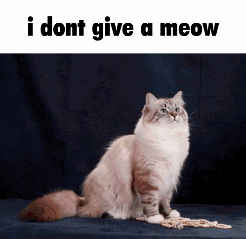 I Dont Give A Meow I Dont Care GIF