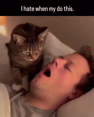 I Hate When My Do This I Hate When My Cat Does This GIF