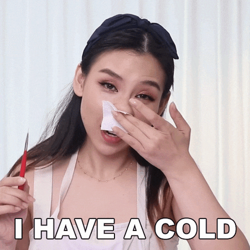 I Have A Cold Tina Yong GIF
