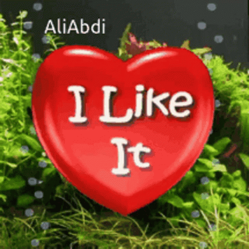 I Like It GIF