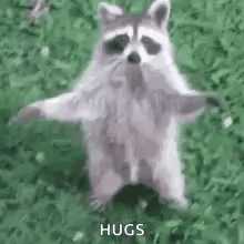 I Love You GIF