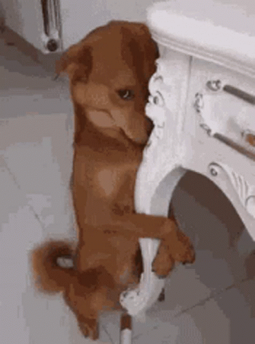 I Might Miss You All Day GIF