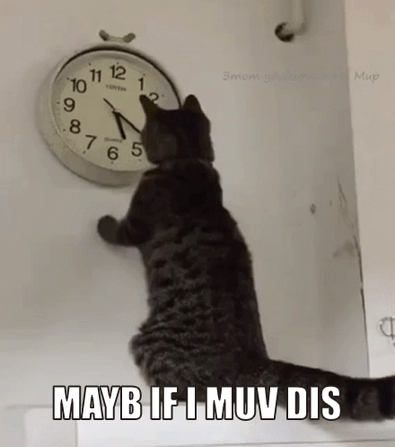 I Miss You Hooman GIF