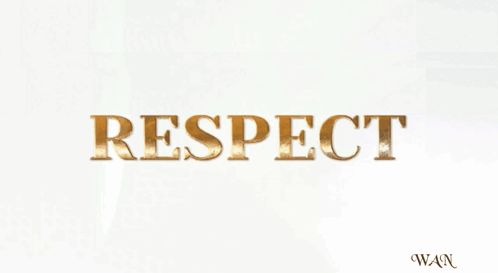 I Respect You Respect GIF