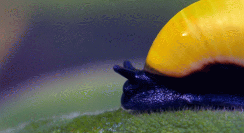 I See You GIF