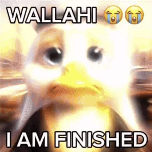 Iambecomebill GIF